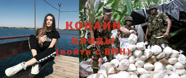 кокс Вяземский