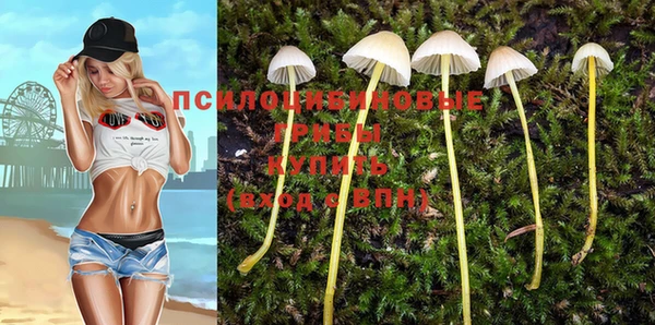 твердый Вязники