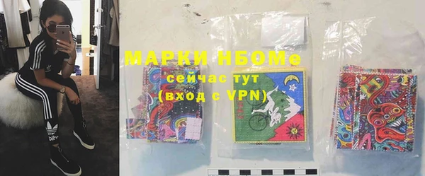 не бодяженный Горно-Алтайск