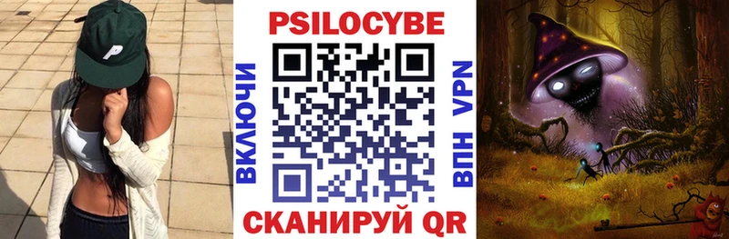 Галлюциногенные грибы Psilocybe  как найти наркотики  Нижнекамск 